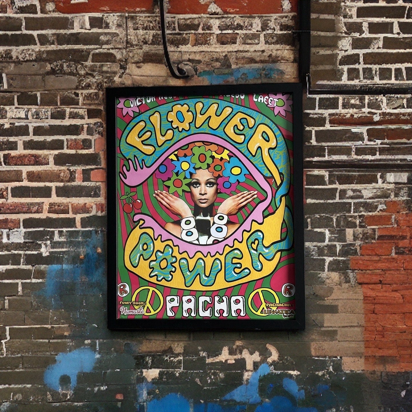 Flower Power ~ Genuine Pacha Ibiza Framed Dj Artwork | Luxury Black Frame