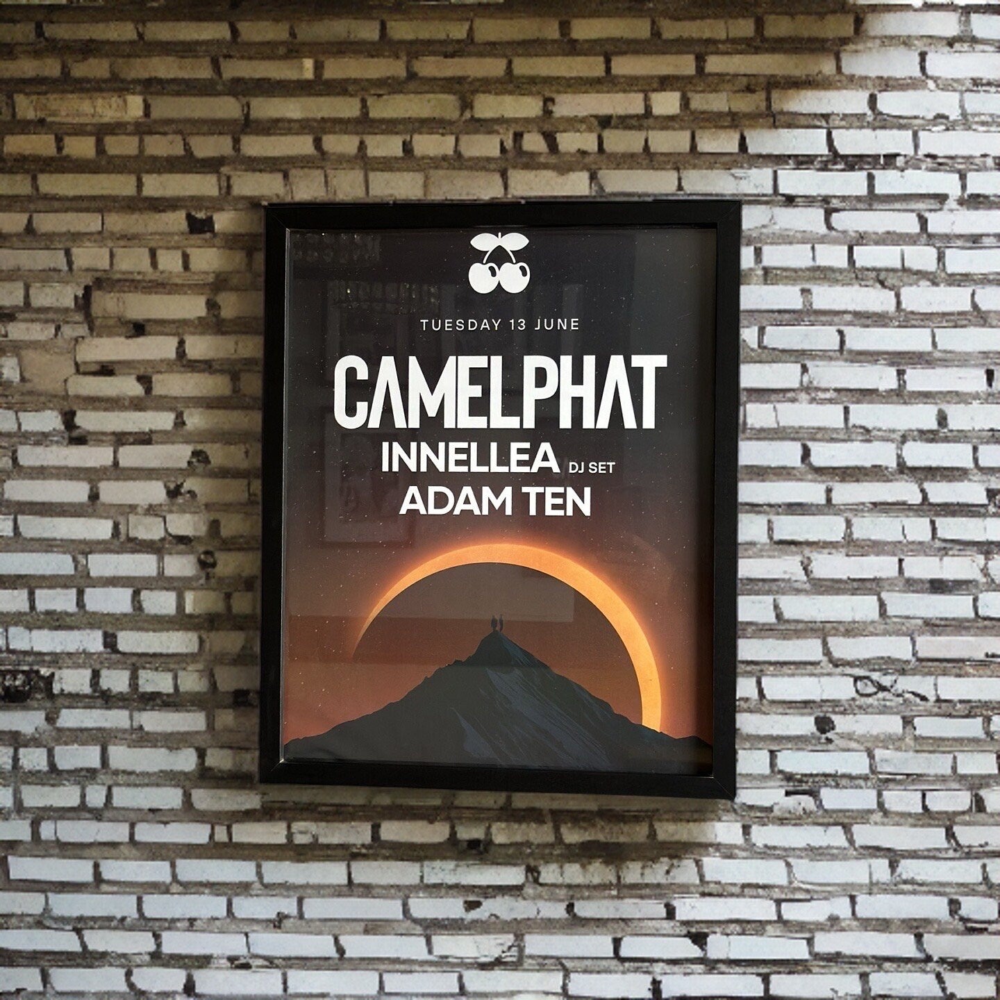 Camelphat ~ Genuine Pacha Ibiza Framed Dj Artwork | A3 Luxury Black Frame