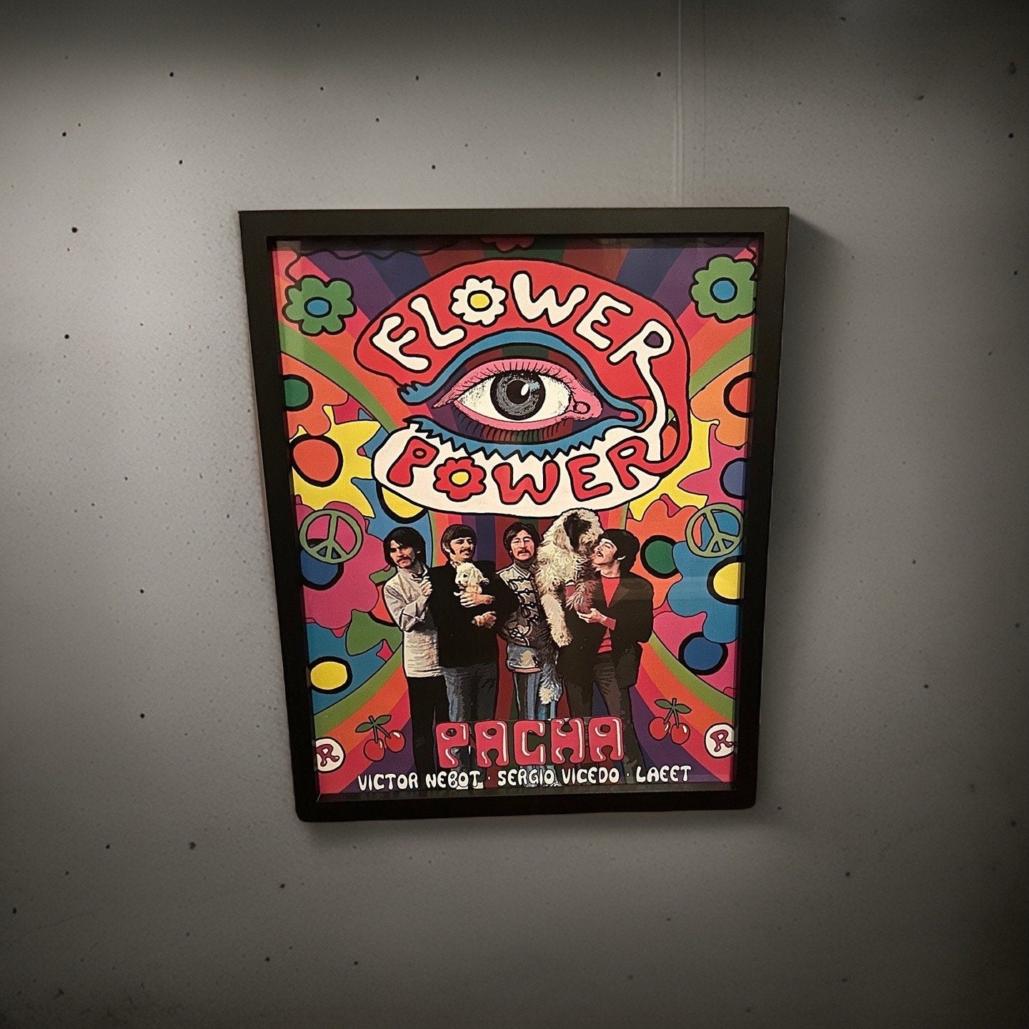 Flower Power ~ Genuine Pacha The Beatles Ibiza Framed Dj Artwork | A3 Luxury Black Frame