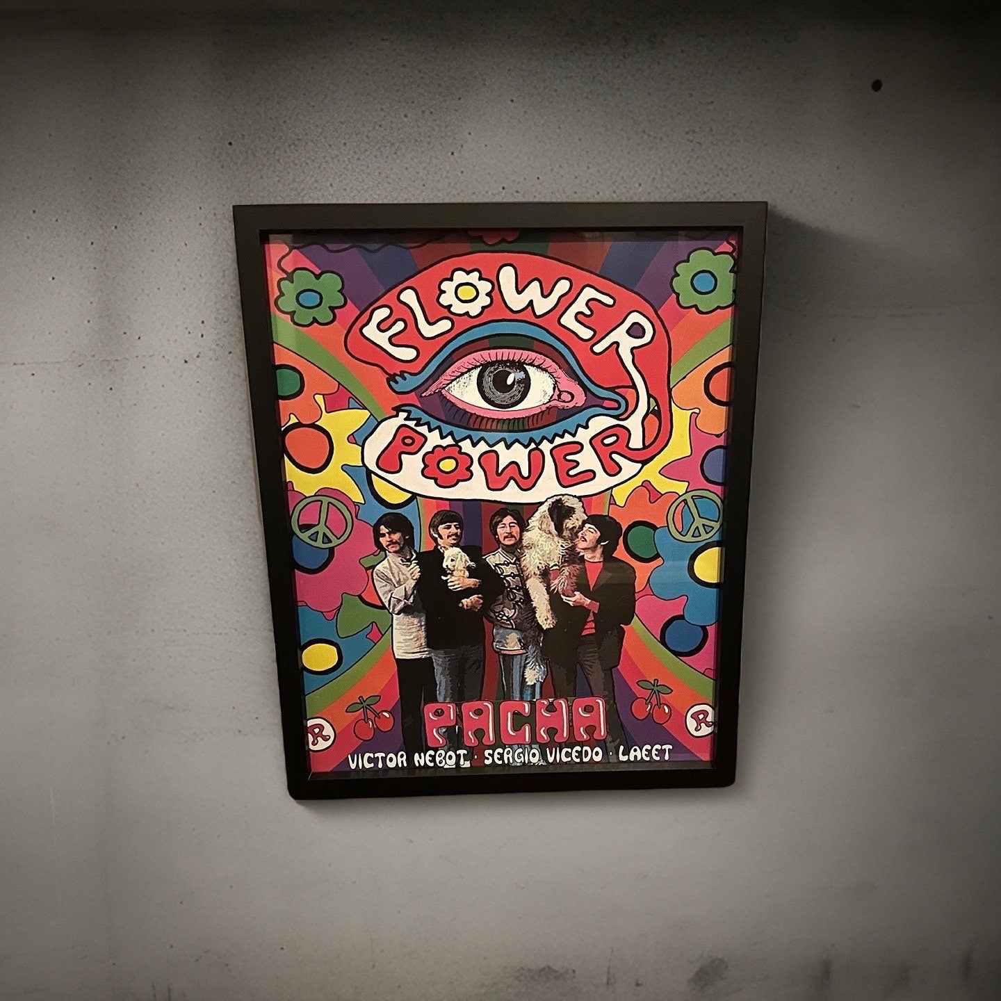 Flower Power ~ Genuine Pacha The Beatles Ibiza Framed Dj Artwork | A3 Luxury Black Frame