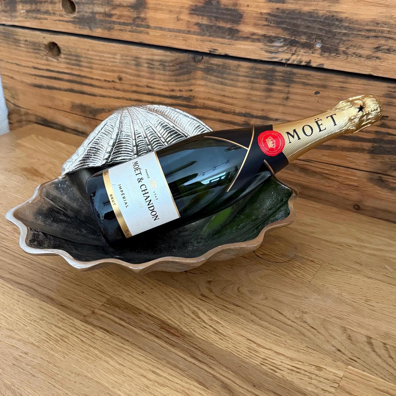 Clam Shell XXL ~ Solid Champagne Ice Bucket ~ Wine Cooler ~ Fruit Bowl