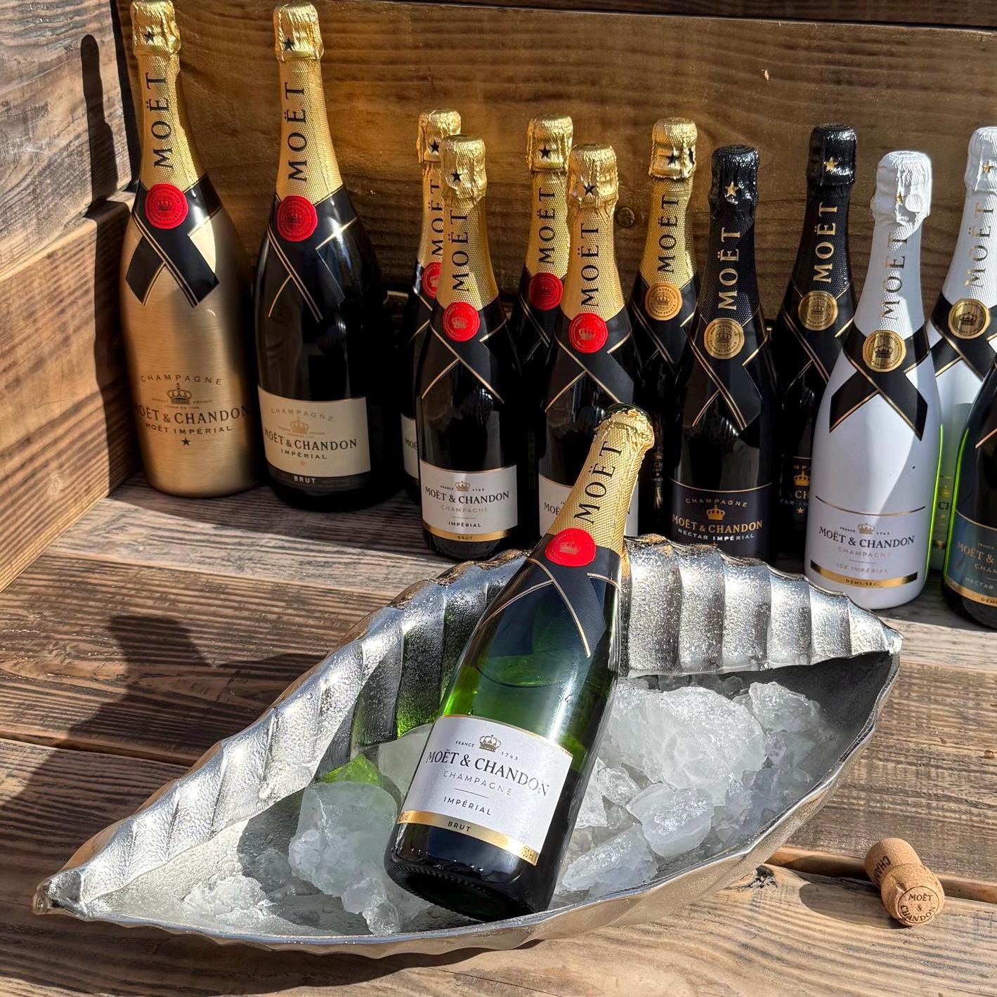 Clam Shell Solid Cast Champagne Ice Bucket - Wine Cooler - Fruit Bowl