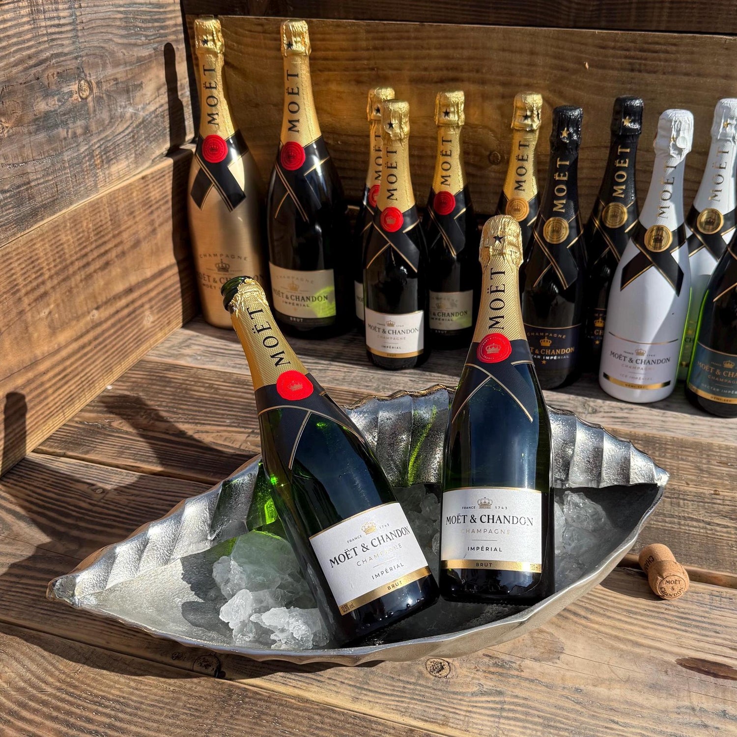 Clam Shell Solid Cast Champagne Ice Bucket - Wine Cooler - Fruit Bowl