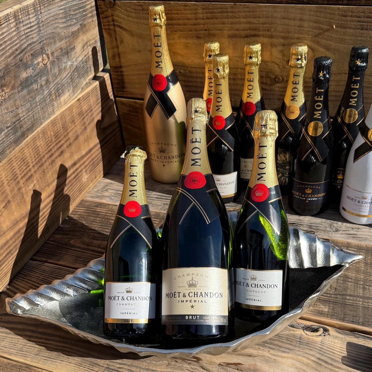 Clam Shell Solid Cast Champagne Ice Bucket - Wine Cooler - Fruit Bowl