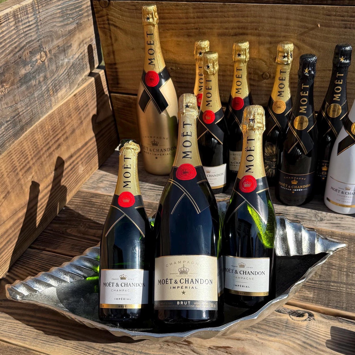 Clam Shell Solid Cast Champagne Ice Bucket - Wine Cooler - Fruit Bowl