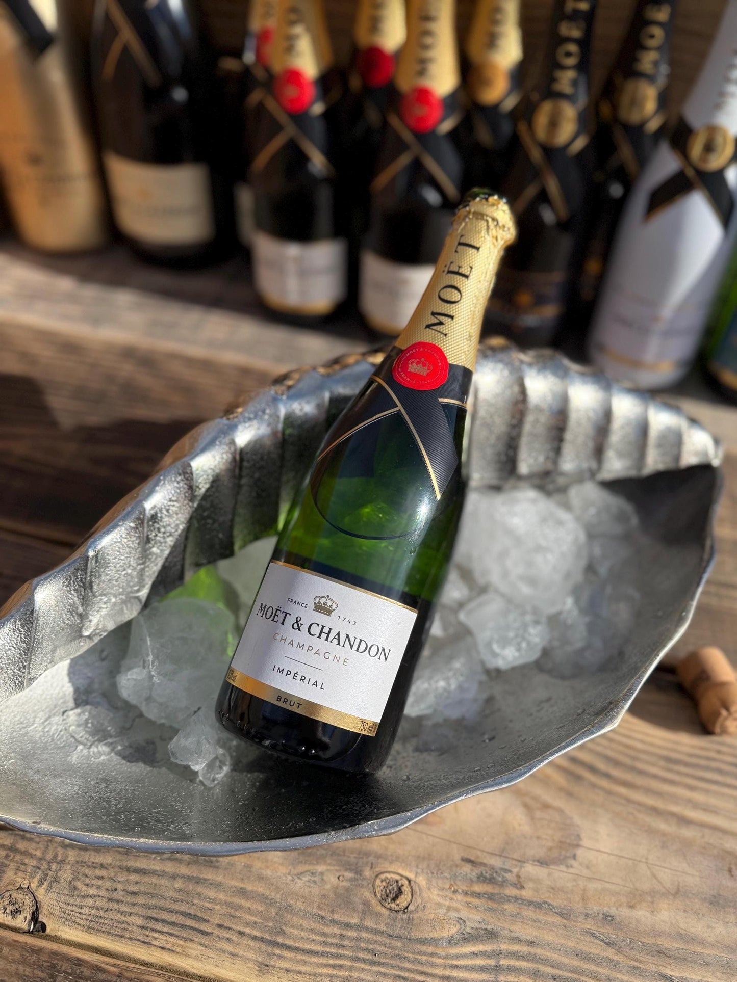 Clam Shell Solid Cast Champagne Ice Bucket - Wine Cooler - Fruit Bowl